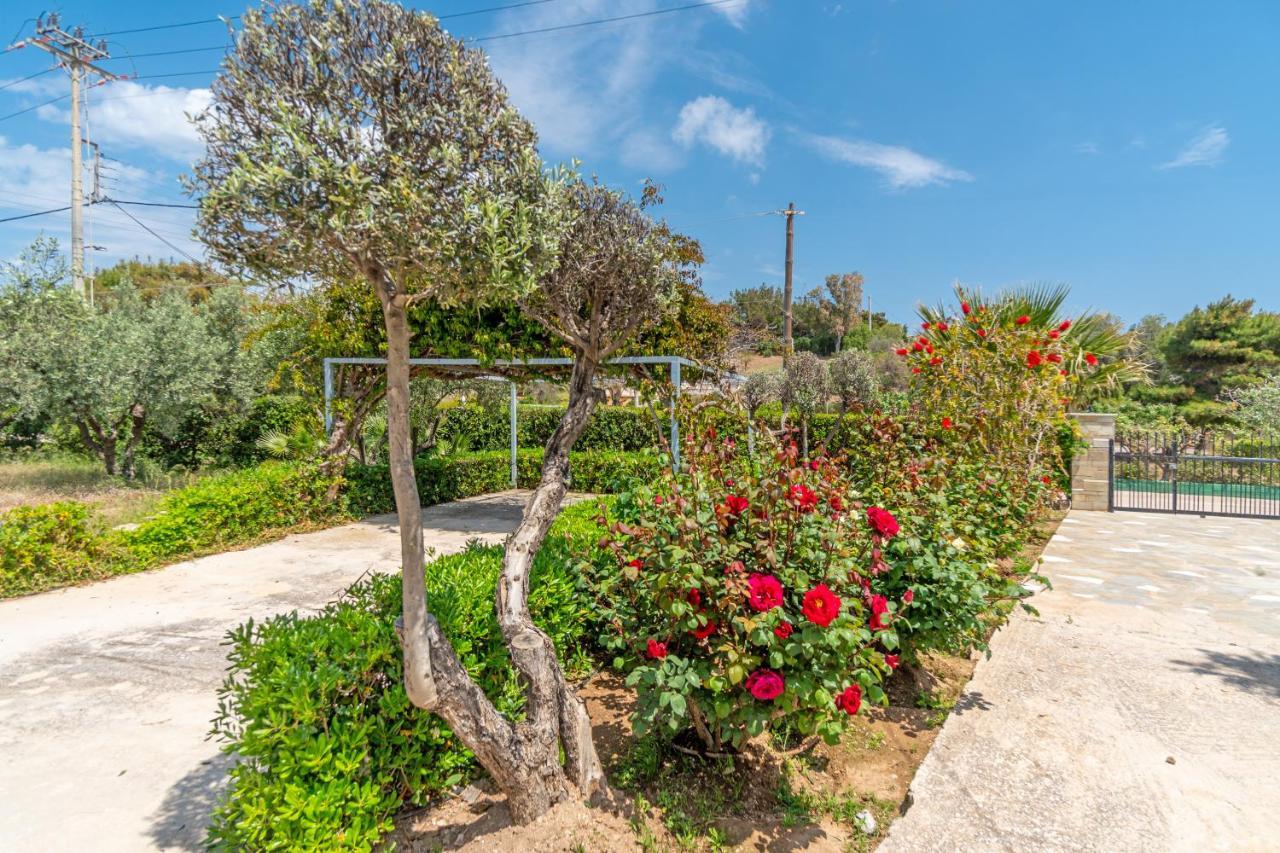 Tatil Evi Legrena House *